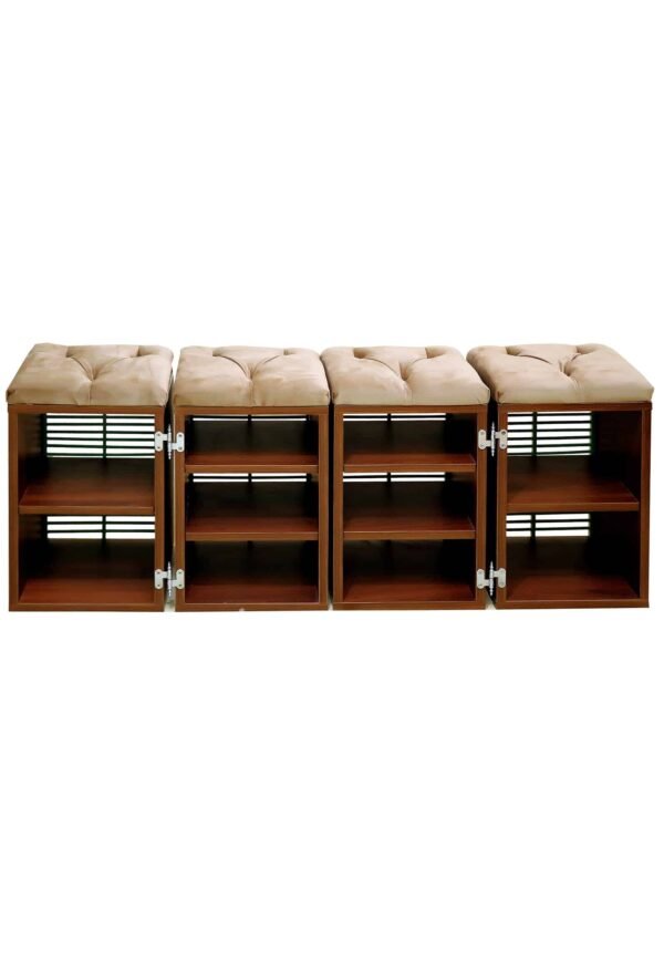 four ferrets Dolarika