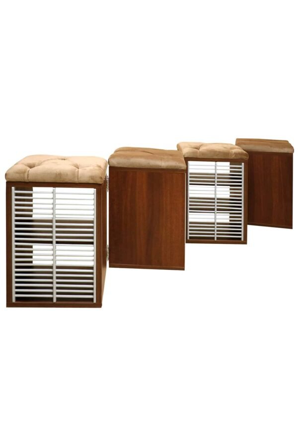 four ferrets Dolarika