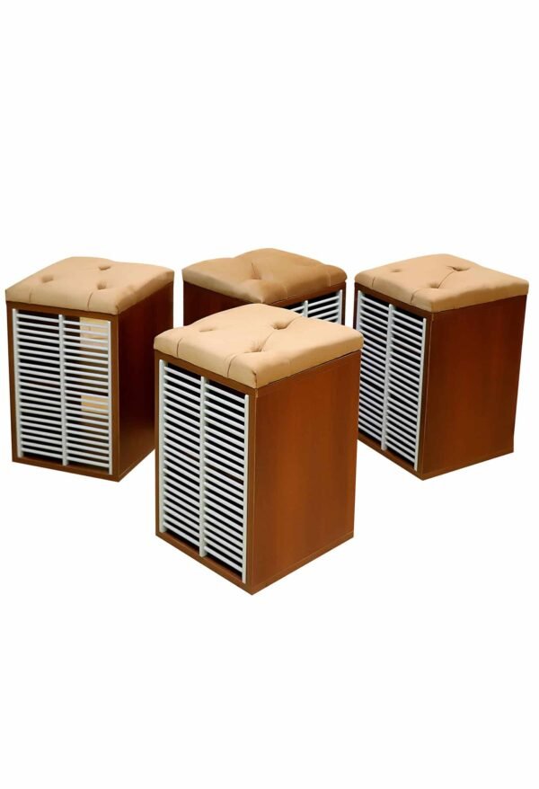 four ferrets Dolarika