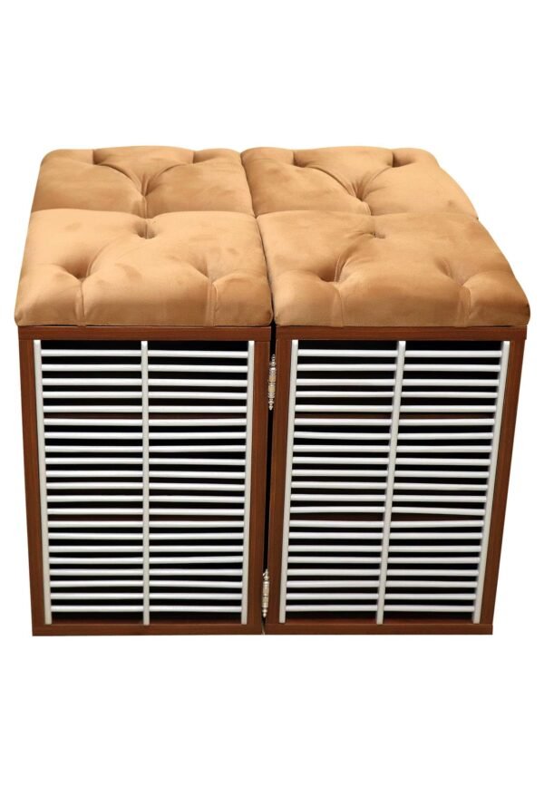 four ferrets Dolarika