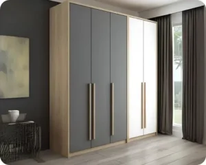 وحدة التخزين الفاخرة ليزا