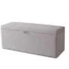 252-Lily Champagne Storage Bench - Luxurious Design with Modern Finish